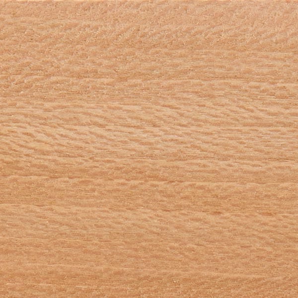 Sycamore Wood Turning Stock