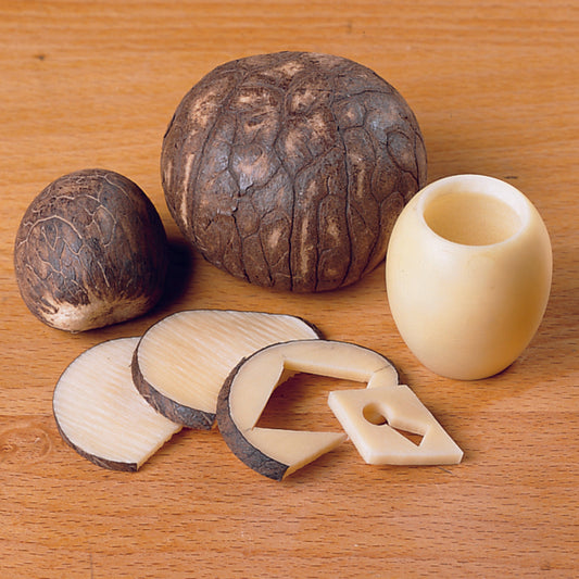 Tagua Nut Pack - 5 Piece