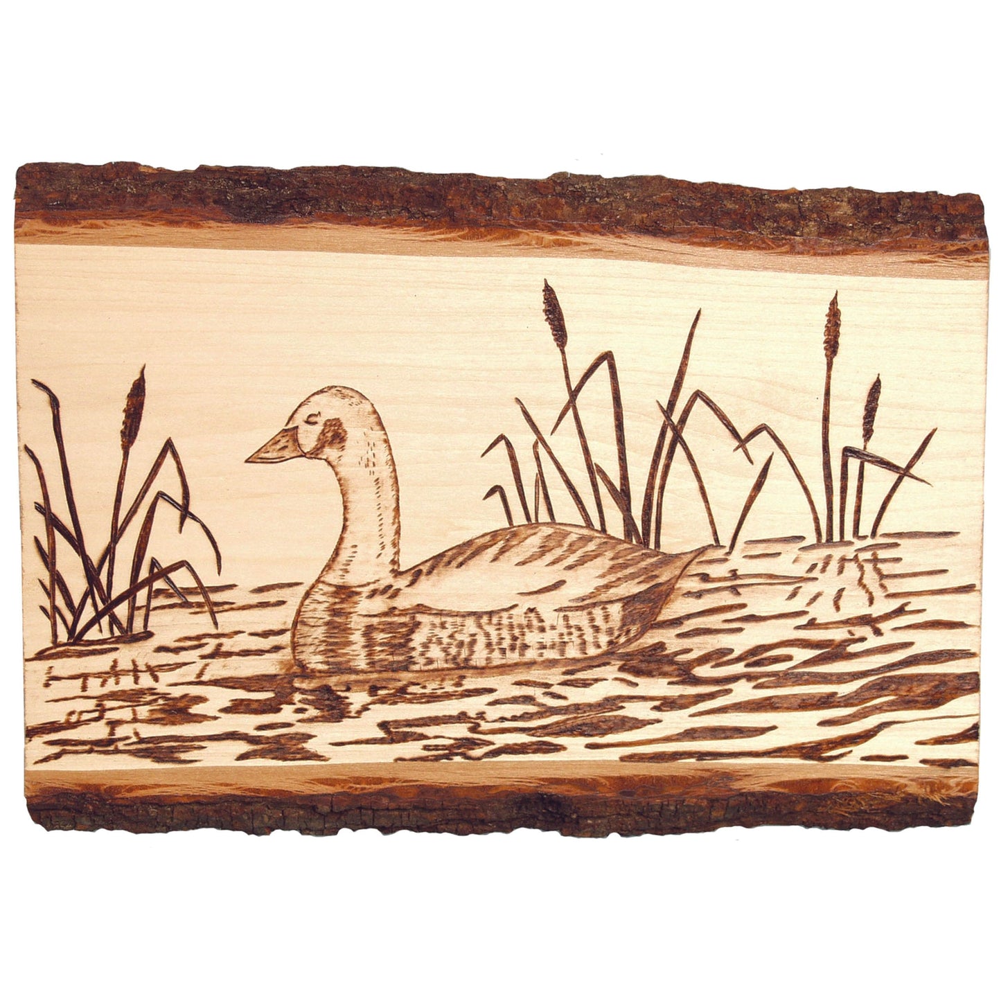 Basswood Country Planks for Wood Burning. Hot Stamping & Carving - Small